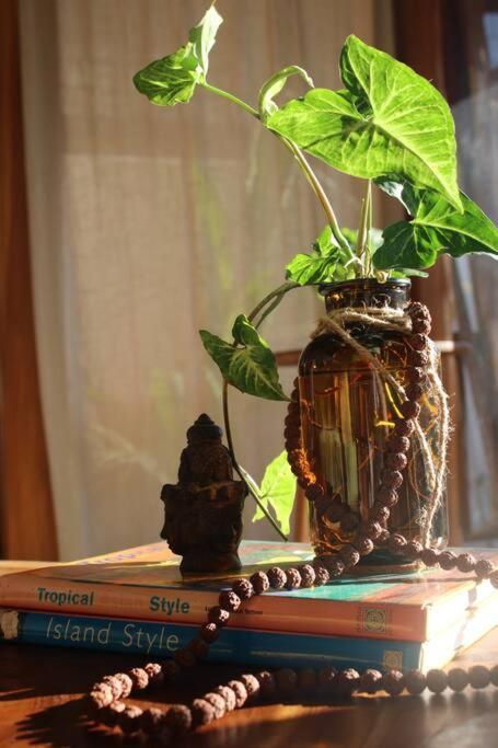Nest Uluwatu 2 - Eco Boutique Villa エクステリア 写真